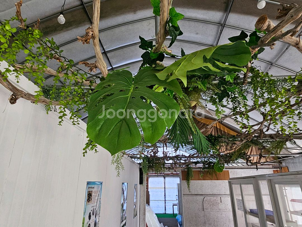 체험장 정리합니다. 인조식물장식,꽃나무등--6