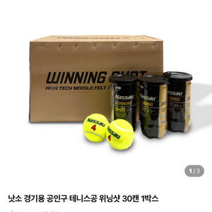 테니스공 (낫소 위닝샷)