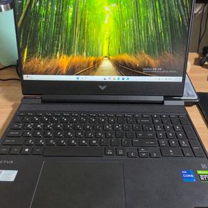 빅터스 게이밍노트북 i7 3050ti ram 32gb