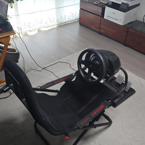 트러스트마스터 T300RS