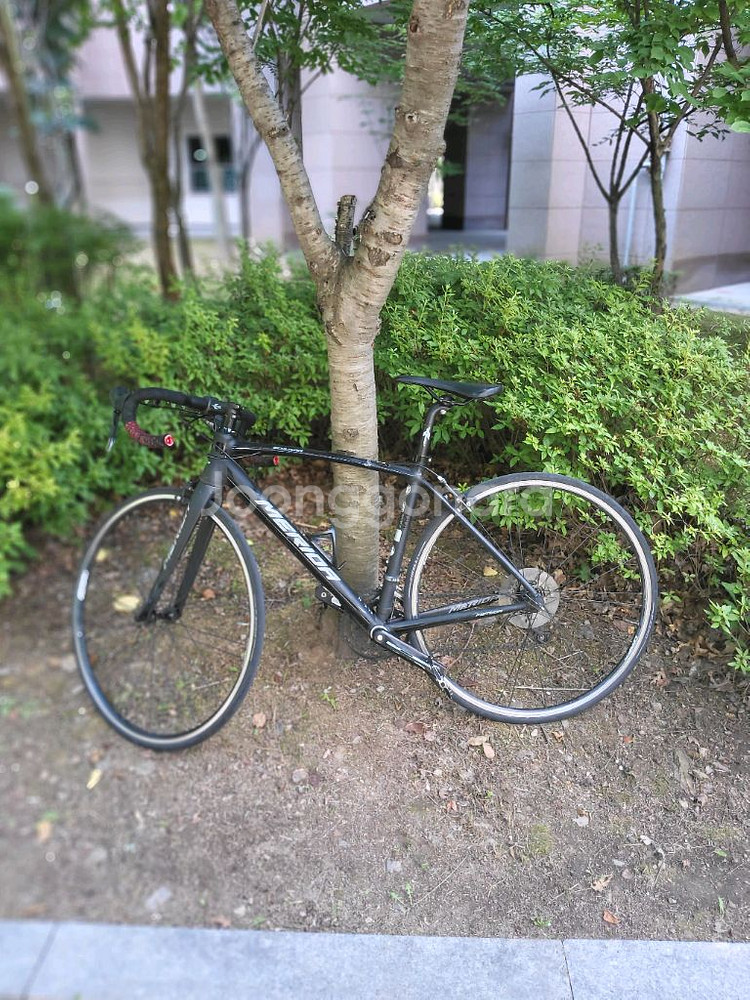 메리다 스컬트라 100 로드자전거 18년식--0