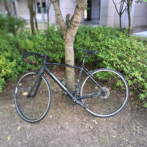 메리다 스컬트라 100 로드자전거 18년식