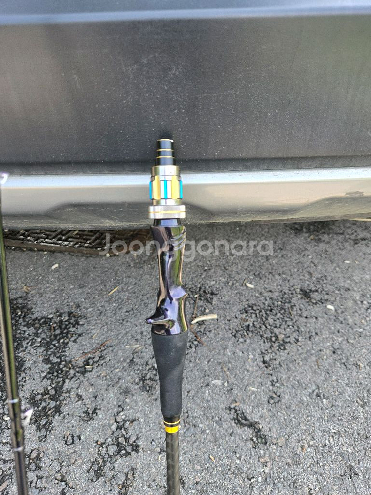 갑오징어 선상 경질대--3