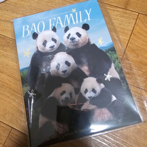 2025 바오패밀리 시즌그리팅 다이어리 1개 미개봉