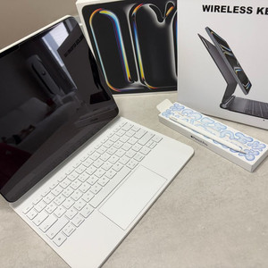 ipad Pro 13 (M4) Wi-Fi 256GB 풀