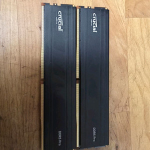 마이크론 DDR5 96g(48g x2)