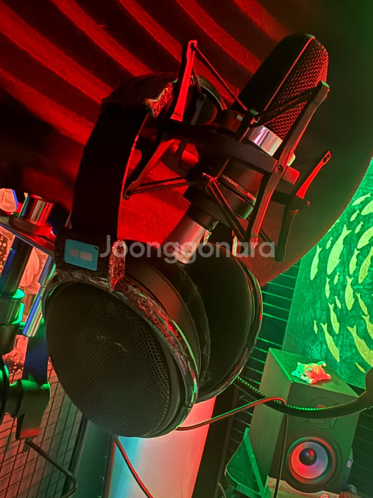 젠하이저 hd600--0