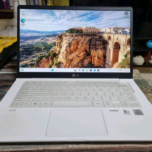 LG Gram 14ZB995-GPLGL