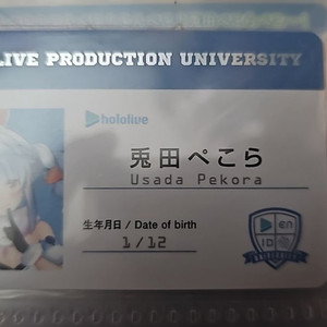 홀로라이브검정 페코라 학생증