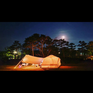 노르디스크 우트가르드