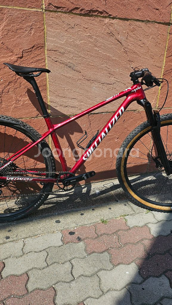 스페셜라이즈드 치젤 mtb자전거 판막--0