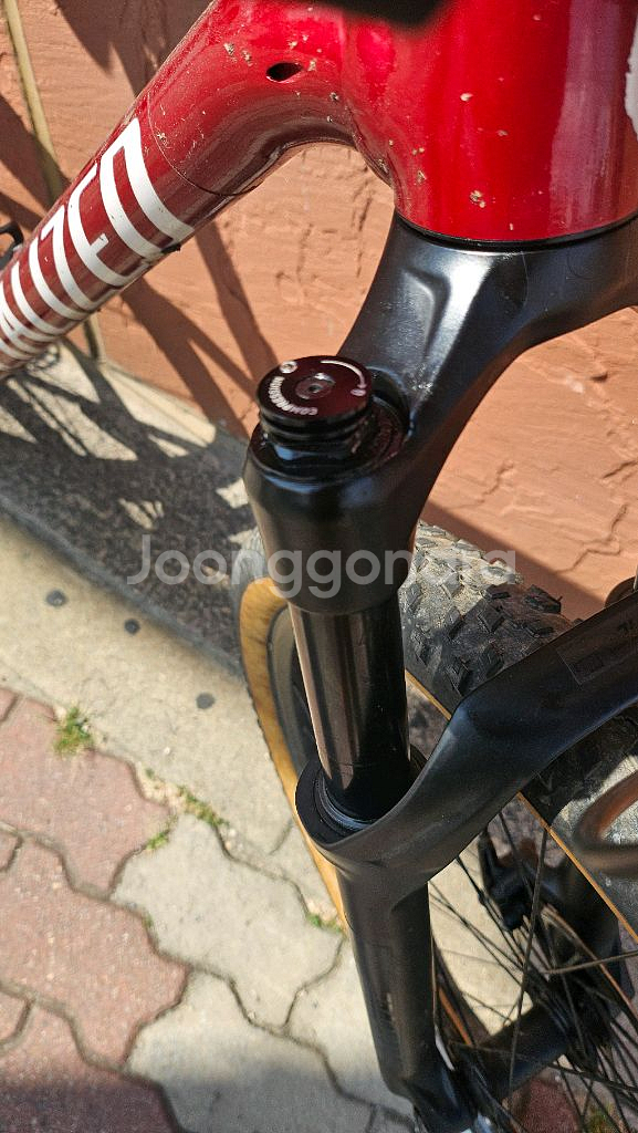 스페셜라이즈드 치젤 mtb자전거 판막--5