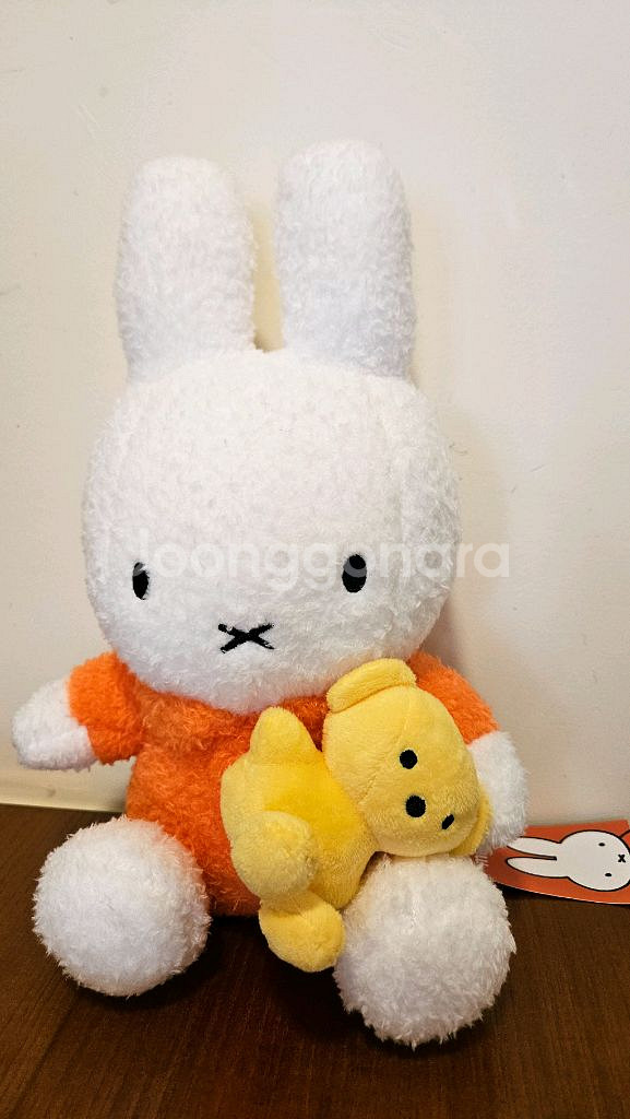 곰안은미피인형--0