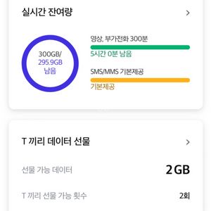 skt 데이터2기가