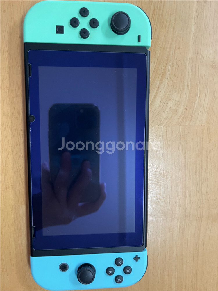 닌텐도 스위치 동물의 숲 에디션--1