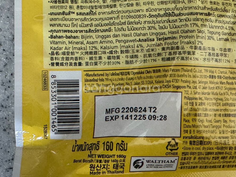 템테이션 고양이 닭고기맛 160g--1
