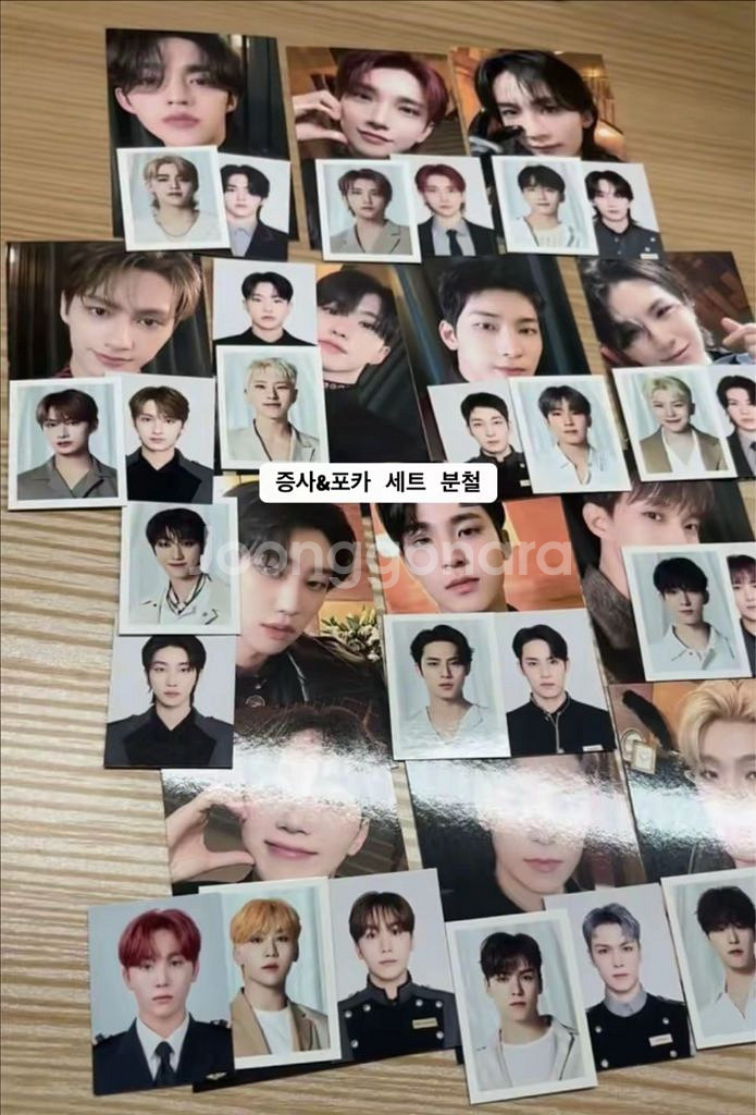 세븐틴 멤버십키트 증사 포카 & 비더썬 굿즈 MD 증사--0