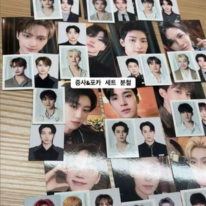 세븐틴 멤버십키트 증사 포카 & 비더썬 굿즈 MD 증사