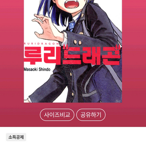 구함)루리드래곤 초판