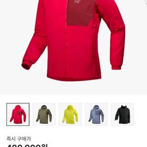 아크테릭스 프로톤 후디