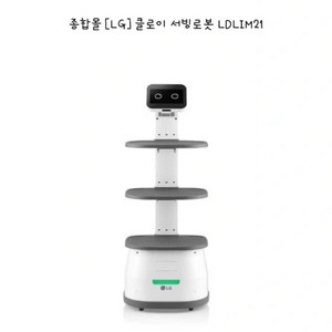엘지 LG 클로이 서브봇 LDLIM21 판매 합니다.