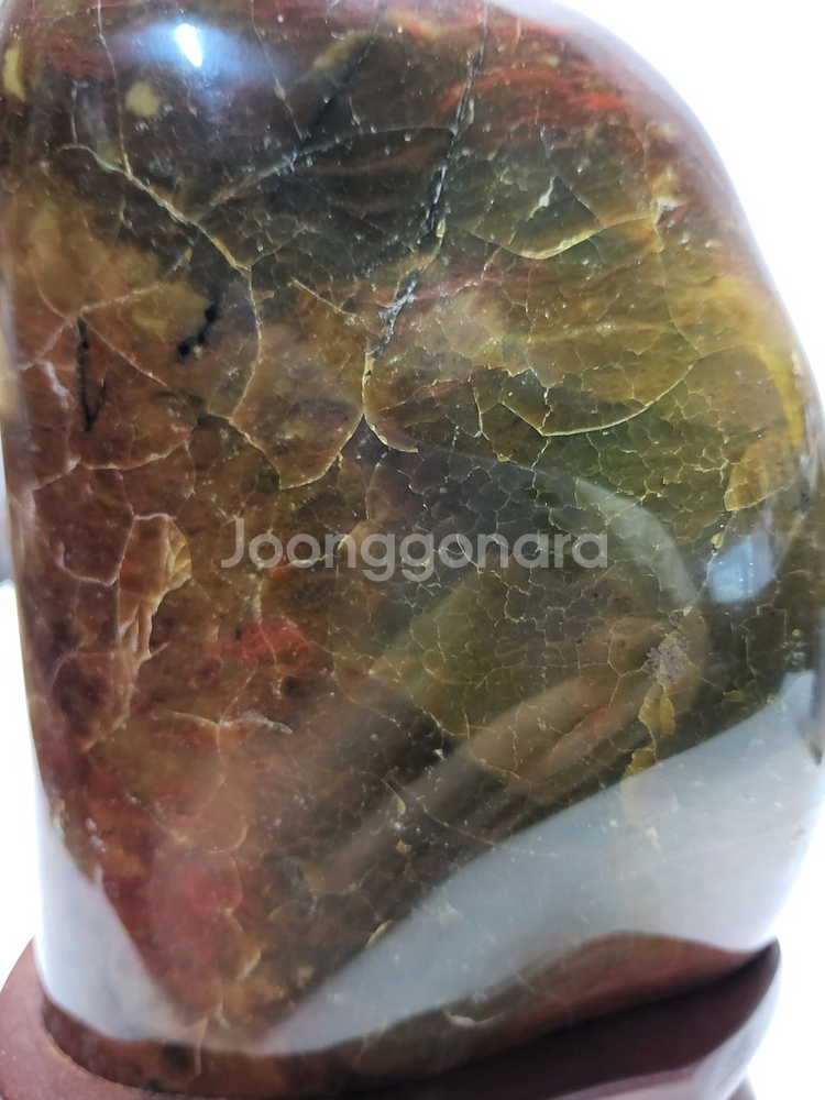 천연 고급 세미 나무화석 높이18cm무게2.1kg--1