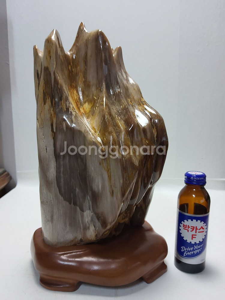 천연 고급 세미 나무화석 높이35cm무게6.5kg--0