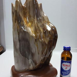 천연 고급 세미 나무화석 높이35cm무게6.5kg