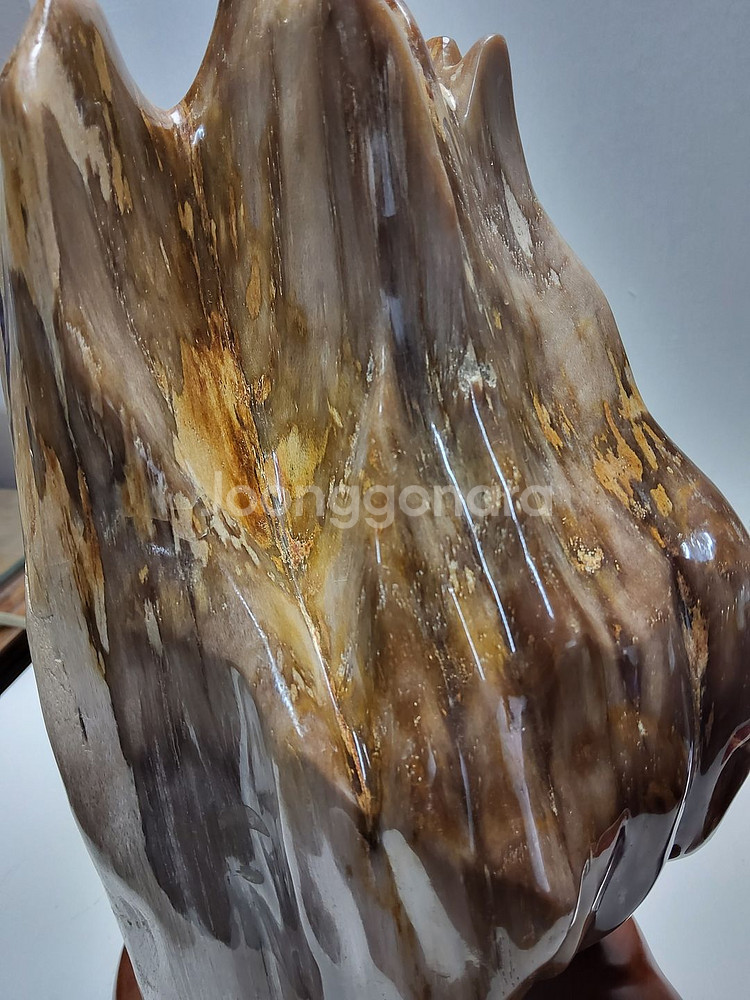 천연 고급 세미 나무화석 높이35cm무게6.5kg--1