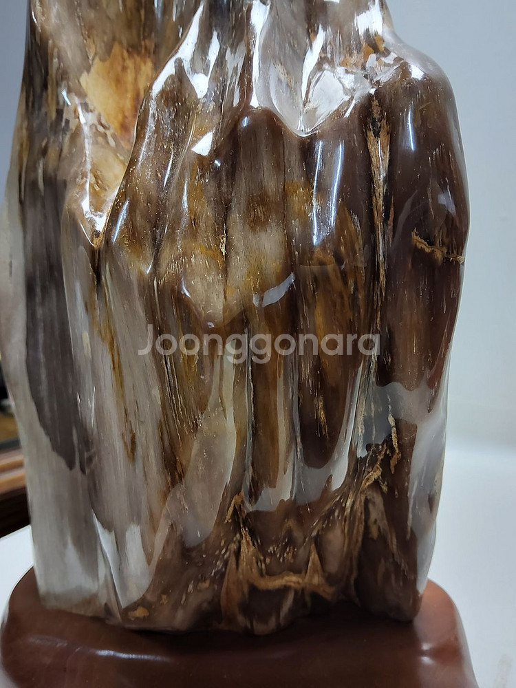 천연 고급 세미 나무화석 높이35cm무게6.5kg--2