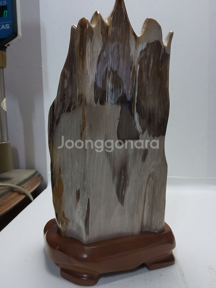 천연 고급 세미 나무화석 높이35cm무게6.5kg--3
