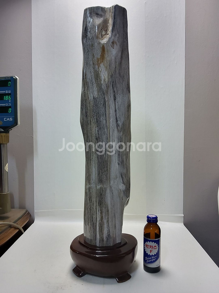 천연 대형 나무화석 높이66cm 무게7.6kg--0