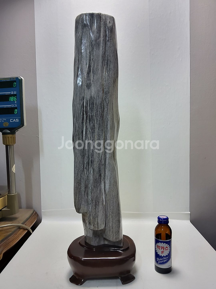 천연 대형 나무화석 높이66cm 무게7.6kg--2