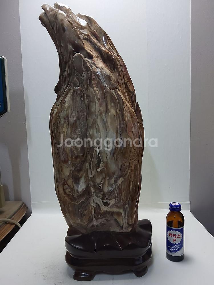 천연 고급 대형 세미 나무화석 높이63cm 무게17kg--0