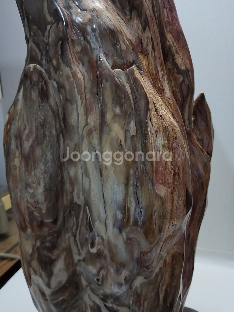 천연 고급 대형 세미 나무화석 높이63cm 무게17kg--1
