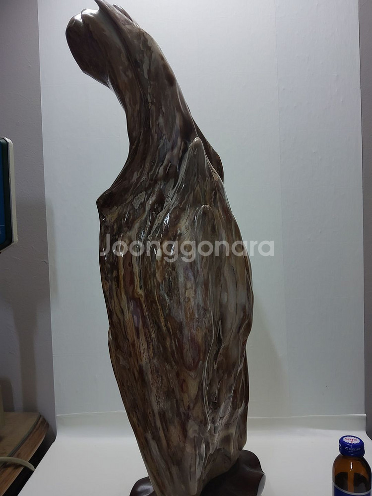 천연 고급 대형 세미 나무화석 높이63cm 무게17kg--2
