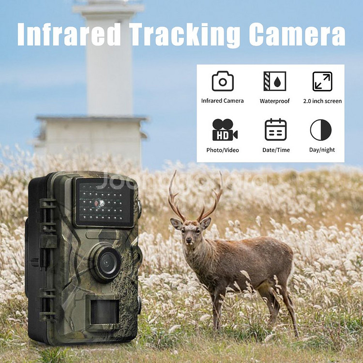 감시 Trace Camera--1
