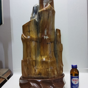 천연 고급 대형 세미 나무화석 높이53cm 15.7kg