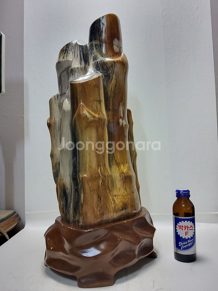 천연 고급 대형 세미 나무화석 높이53cm 15.7kg--2