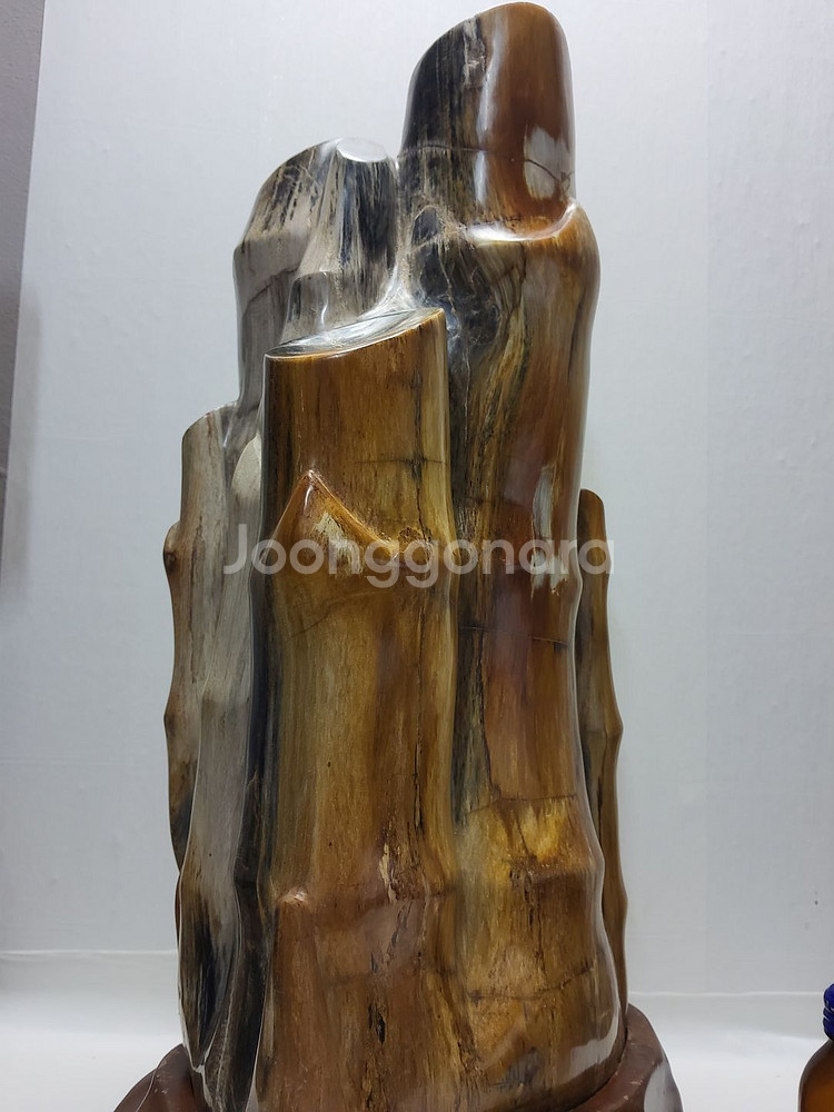 천연 고급 대형 세미 나무화석 높이53cm 15.7kg--1