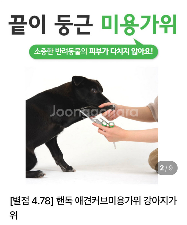애견 끝이 둥근 미용가위 4종세트 (덤으로 3만원증정)--1