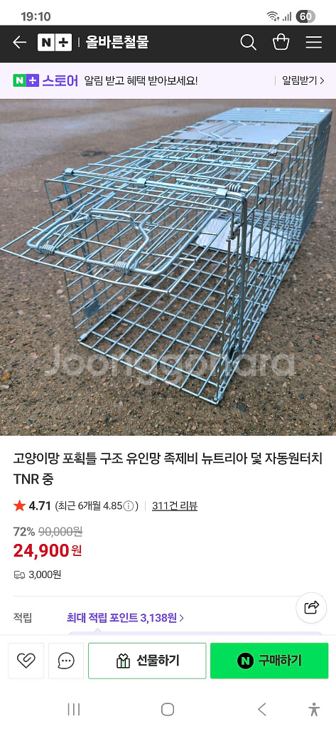 고양이 통덫--1