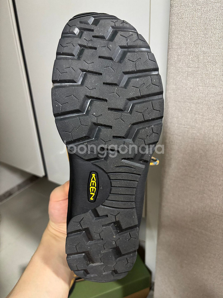킨 제스퍼 카멜 280--1
