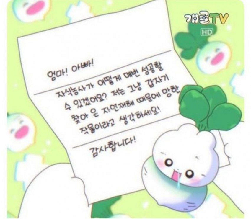 2026 주간키스 E T 판매--0