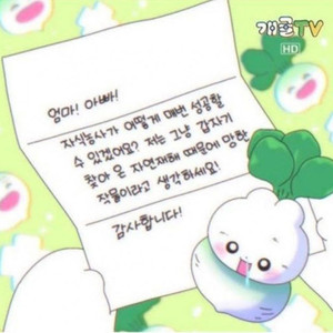 2026 주간키스 E T 판매