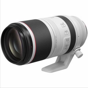 캐논 canon RF 100-500mm 알백오 백오백