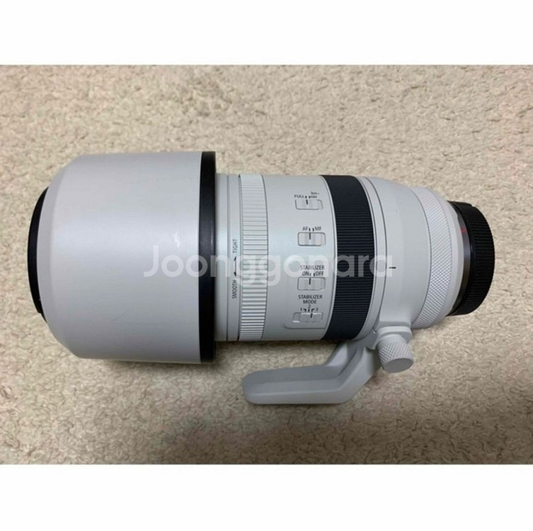 캐논 canon RF 100-500mm 알백오 백오백--6