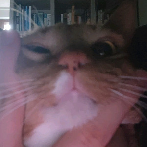 부산 싸이 흠뻑쇼 16일 스탠딩 가,나 구역 티켓구해요