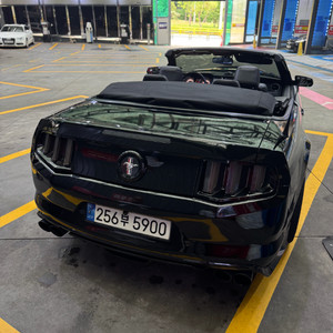 mustang