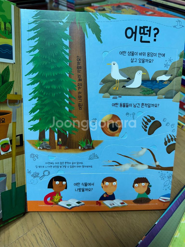 어스본 영재 플랩북 11권--1